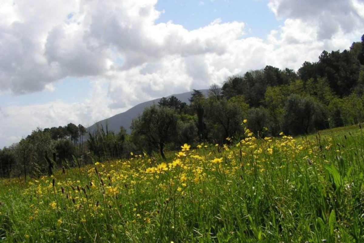 A Casa Di Antonio Gasthof *